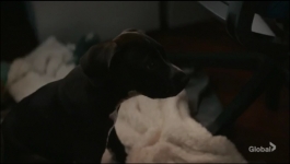 NCIS Hawaii - Season 02 Episode 16